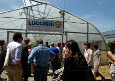 Visitatori nella serra realizzata dall'azienda Lucchini di Mantova per il progetto Demo Field.