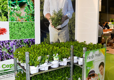 La ditta Di Meo Remo, capofila del Copraval-Consorzio dei produttori di piante aromatiche in vaso alimentari ha inaugurato a Fruit Innovation la campagna di promozione del consumo di erbe aromatiche fresche in vaso per la bella stagione.