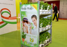 L'estate e' anche divertimento e allora ogni tanto, con moderazione, la si puo' festeggiare inneggiando ai Caraibi con un buon Moijto in cui la menta si sposa con il rum, il lime, ghiaccio, lo zucchero di canna e l'acqua frizzante.