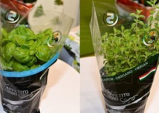 Ma per battere il caldo si puo' ricorrere anche a preparazioni gastronomiche in cui basilico e origano fanno la parte del leone.