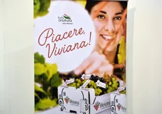 Nella prima giornata di Fruit Innovation, l'unione nazionale Italia Ortofrutta ha presentato il progetto Viviana, mirato alla valorizzazione di prodotto dell'uva da tavola italiana attraverso un unico brand, chiaro e distinguibile.