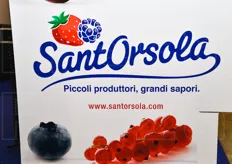 Il restyling del logo Sant'Orsola, la cooperativa specializzata nella produzione e distribuzione di piccoli frutti.
