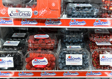 La differenza tra il precedente logo (in alto a sinistra) e quello nuovo, che campeggia sulle confezioni e su ogni altro display di prodotto (in questo caso, il frigorifero che puo' essere collocato nel punto vendita).