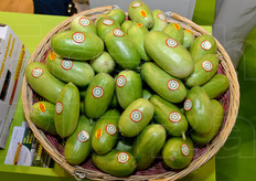 Simile nell'apparenza ad un cetriolo o a una zucchina, questa cucurbitacea e' in realta' a tutti gli effetti un melone, dal gusto fresco e delicato, altamente digeribile.