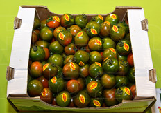 "Pomodoro "camoncino" della OP Sanrocco."