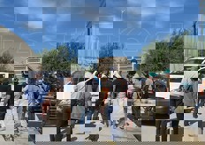 Prima tappa presso Ecofaber, vivaio leader nella produzione di piante orticole innestate.