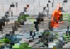 A lavoro nel vivaio.