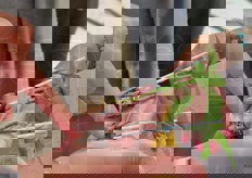 Piantine di peperoni e melanzane. Ecofaber ha scelto di estromettere definitivamente dalla produzione l'uso dei contenitori in polistirolo, prediligendo quelli in plastica riciclabile. Questa soluzione ottiene il risultato di un bassissimo impatto ambientale, dal momento che la seminiera in plastica rientra facilmente nella filiera del riciclo, ma ottimizza anche gli aspetti tecnici e agronomici della coltivazione.