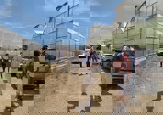 Prossima tappa la Cooperativa Faro, altra grande organizzazione di produttori di Pachino. E' socia della nuova realta' PACH.ITA.