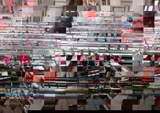 Linee di lavorazione viste dall'alto.