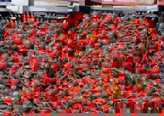 Il prodotto in arrivo.