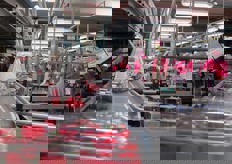 Una volta confezionato, il prodotto e' inserito nella linea di lavorazione.