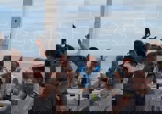 Brindisi a tutta la compagnia!