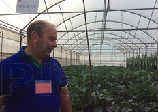 Carmelo Iacono davanti alle prove su zucchina Galatea F1, adatta per coltivazioni in campo aperto e tunnel/serra autunnali e primaverili.