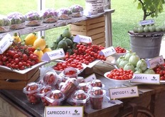 Allestimento espositivo con alcune delle selezioni orticole della Gautier Sementi. La presentazione coreografica dei prodotti e' stata curata da Milena Zanfini dell'Agriturismo Cami'.