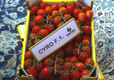 Uno dei cavalli di battaglia della Gautier: il pomodoro cocktail allungato Cyro F1.