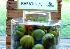 Pomodoro tipo Marmande di media pezzatura, dotato di elevate caratteristiche organolettiche.