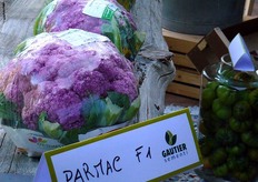 Cavolfiore violetto Parmac F1.