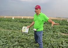 Le spiegazioni di Bruno Busin, technical crop manager di Syngenta Italia, specializzato in orticole.
