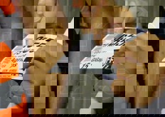 Ogni partita e' tracciabile.