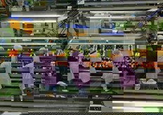 Ogni linea, delle 11 disponibili, lavora il prodotto per un determinato imballo.