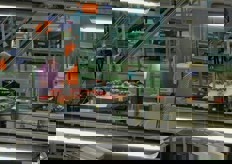 Linee di packaging all'avanguardia, che garantiscono la massima efficienza.