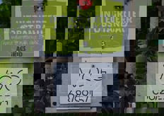 Il cartellino numerico e' per la rintracciabilita': 68 e' il numero della coop Melix Brixen di Bressanone, socia del VOG cui fa capo il maso; 225 rappresenta il numero del Moarhof; l'1 e' il numero dell'appezzamento, riportato anche nel quaderno di campagna.