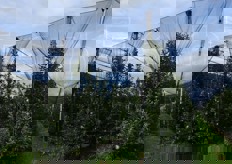 "Per alcune varieta' - come Pink Lady e Jazz - e' obbligatorio l'utilizzo di reti antigrandine, che vanno montate a distanza di circa un anno dall'impianto. D'inverno si aprono a causa della neve e dal 15 maggio in poi vengono richiuse, anche perche' per quel periodo non c'e' nemmeno piu' pericolo di brina. "Una mela Pink Lady con un graffio non e' vendibile. Quindi ci adeguiamo"."