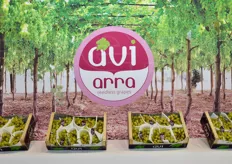 AVI e' la societa' italiana che distribuisce e commercializza in esclusiva le uve seedless (senza semi) a marchio Arra.