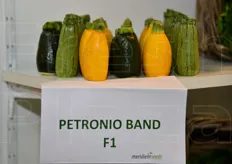 La gamma di zucchini Petronio.
