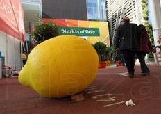 L'iniziativa rientra nella nuova campagna di comunicazione del Distretto, finanziata dal Ministero delle Politiche Agricole e Forestali (Mipaaf) e realizzata in collaborazione con la Regione Siciliana (Assessorato alle Attivita' Produttive) nell'ambito di un progetto di promozione dei Distretti agro-ittico-alimentari siciliani.