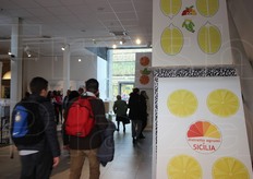 Sulla destra, alcuni esemplari del mazzo gigante di carte da gioco siciliane, dove i tradizionali simboli - denari, bastoni, coppe e spade - sono sostituiti dalle quattro eccellenze Dop e Igp.