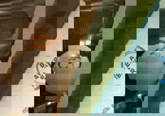 I palloncini presenti allo stand evidenziano i festeggiamenti del 10mo anniversario della Bayer Food Chain Partnership.