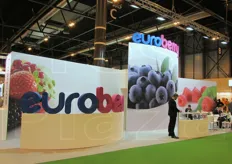 Euroberry produce oltre 14.000 tonnellate di frutta, per lo piu' mirtilli. La societa' e' la piattaforma commerciale per Atlantic Blue (Spagna) e Hortifrut Chile. Questa collaborazione rende possibile la fornitura di piccoli frutti sul mercato europeo per tutto l'anno.