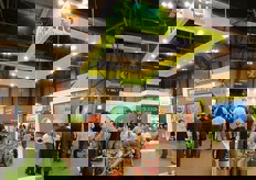 Semillas Fito' da oltre 130 anni e' impegnata nella ricerca e nel miglioramento al fianco degli agricoltori per offrire le migliori varieta' al mercato e ai consumatori.