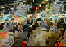 L'affollato stand dell'azienda romagnola Infia, leader internazionale nella produzione di imballaggi in plastica rigida termoformata per alimenti. E' presente sul mercato con prodotti e soluzioni tecnologiche e innovative per il packaging ortofrutticolo.