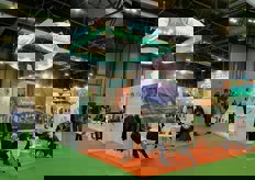 Vegetales Linea Verde e' la filiale spagnola dell'azienda italiana La Linea Verde di Manerbio, Brescia, presente a Fruit Attraction per il sesto anno consecutivo.