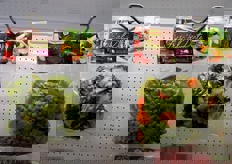 A Madrid era esposta tutta la gamma di prodotti a marchio DimmidiSi' e Fresh Gourmet e anche alcune nuove proposte.