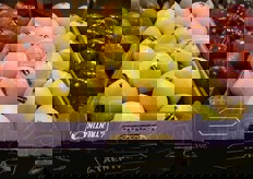 La Trentina e' presente da anni sul mercato spagnolo, principalmente grazie alla mela Golden, la piu' venduta.