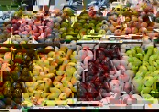 "Particolare delle mele Melinda esposte. "La Golden Delicious e' sempre la piu' apprezzata sul mercato spagnolo" ha commentato Barbi."