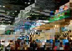 Una panoramica sugli stand regionali spagnoli. In primo piano Catalunya e Castilla-La Mancha.