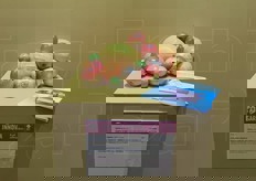 Etichettatore Laser per frutta e ortaggi di Laser Food 2007. E' un innovativo sistema di marcatura permanente dei prodotti attraverso un fascio di luce. Consente di contrassegnare marchi e nomi commerciali in modo rapido e senza danneggiare il frutto.