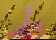 Sweet Palermo, di Rijk Zwaan Iberica, e' il peperone di forma conica dal sapore dolce e versatile per le diverse modalita' di preparazione.