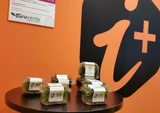 I Germogli ecologici del Gruppo Gruventa sono destinati al canale Horeca.