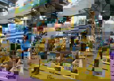 Lo stand Platano de Canarias, prodotto rappresentativo della Spagna.