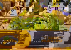 "Con lo slogan "El sabor de lo nuestro", il marchio Platano de Canarias evidenzia le caratteristiche uniche e la qualita' superiore dei propri frutti rispetto alle banane non europee."