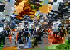 Tango, il mandarino tardivo ottenuto dalla University of California di Riverside e commercializzata al di fuori degli Stati Uniti dalla spagnola Eurosemillas, passera' alla storia per l'espansione commerciale piu' veloce mai programmata per qualsiasi varieta' di mandarini protetta.