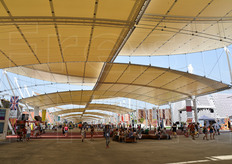 Il Decumano ospitava anche punti di riposo per i visitatori.