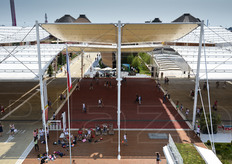 Vista aerea di un segmento del Decumano.