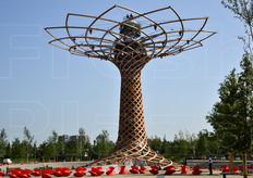 L'Albero della Vita, simbolo di Expo Milano 2015. La sua grande chioma, svettante verso il cielo a 37 metri di altezza, e' sorretta da un complesso ed elegante intreccio di legno e acciaio. La chioma e' apertamente ispirata al disegno michelangiolesco di Piazza del Campidoglio.